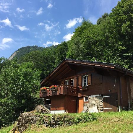 Chalet Julian Lütschenthal Exteriör bild